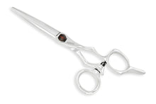 Above Nova SWIVEL